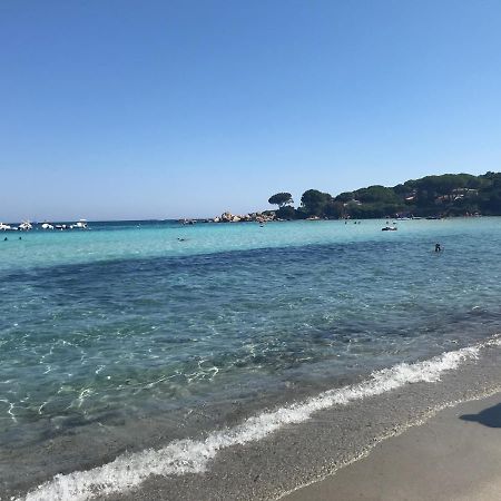 Вилла Via Genova 1480 Сан-Теодоро Экстерьер фото